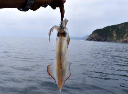 渡船屋たにぐち 釣果