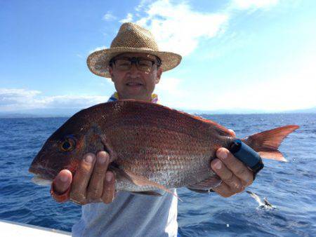 第二八坂丸 釣果
