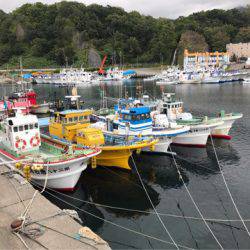 第二　つれたか丸 釣果