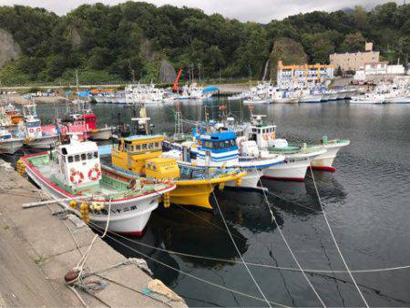 第二　つれたか丸 釣果