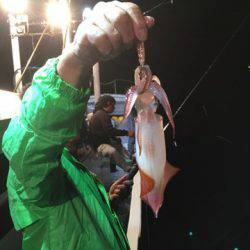 ＴＡＲＯＭＡＲＵ 釣果