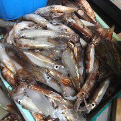 ＴＡＲＯＭＡＲＵ 釣果