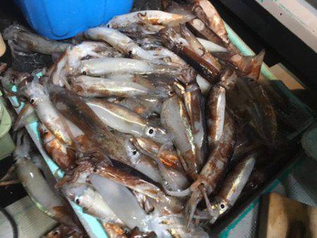 ＴＡＲＯＭＡＲＵ 釣果