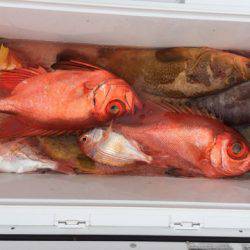 第二龍勢丸 釣果