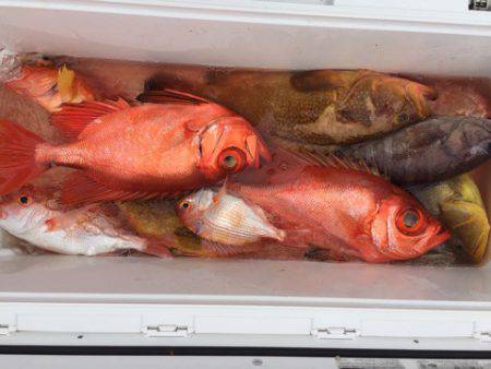 第二龍勢丸 釣果