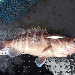 第二龍勢丸 釣果