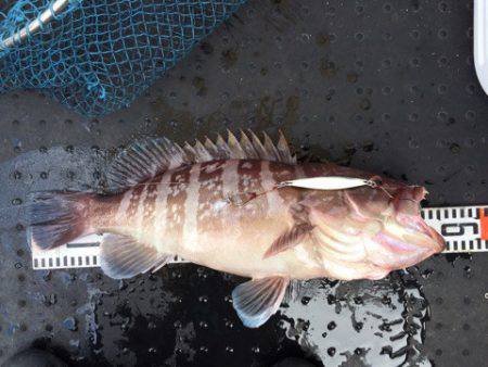 第二龍勢丸 釣果