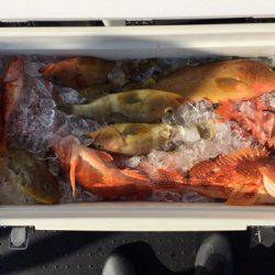 第二龍勢丸 釣果