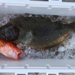 第二龍勢丸 釣果