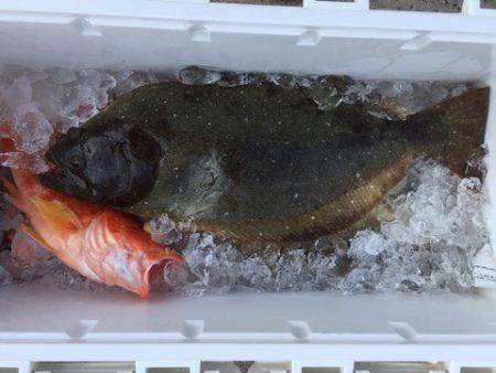 第二龍勢丸 釣果