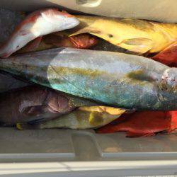 第二龍勢丸 釣果