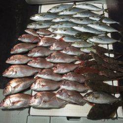 エムズジャーク（M’s JERK） 釣果