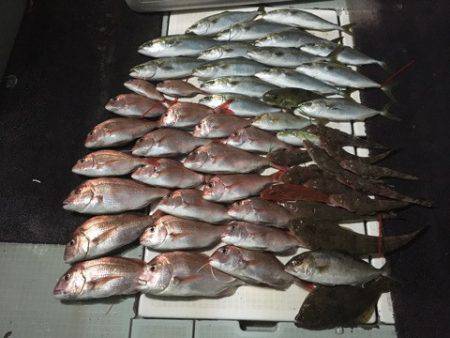 エムズジャーク（M's JERK…