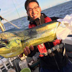 エヌスタイル 釣果