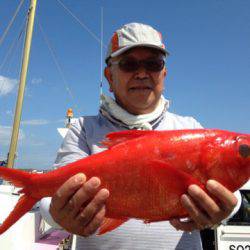 晃山丸 釣果