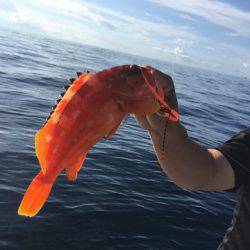 ＴＡＲＯＭＡＲＵ 釣果