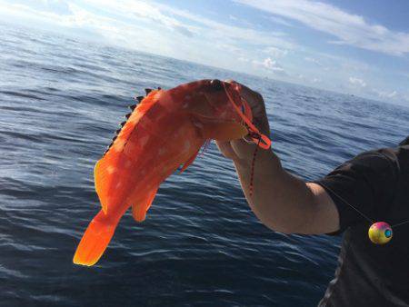 ＴＡＲＯＭＡＲＵ 釣果