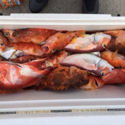 第二龍勢丸 釣果