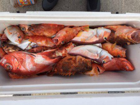 第二龍勢丸 釣果