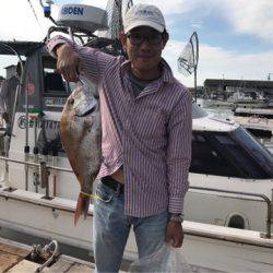 遊漁船メテオ 釣果