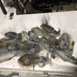 Monster Rush! 釣果