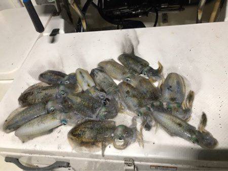 Monster Rush! 釣果