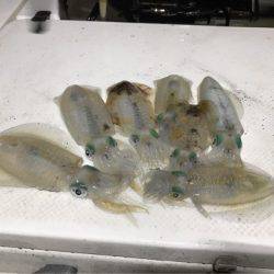 Monster Rush! 釣果