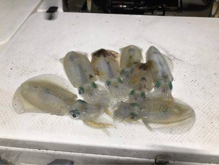 Monster Rush! 釣果