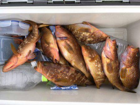 第二八坂丸 釣果