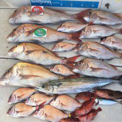 末広丸(熊本) 釣果