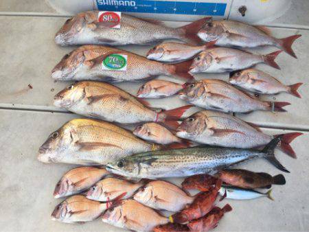 末広丸(熊本) 釣果