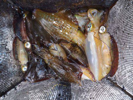 まるいち丸 ZERO-1 釣果