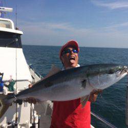 SeaRide(シーライド) 釣果