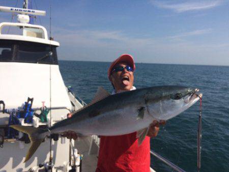 SeaRide(シーライド) 釣果