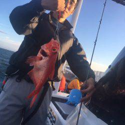 ＴＡＲＯＭＡＲＵ 釣果