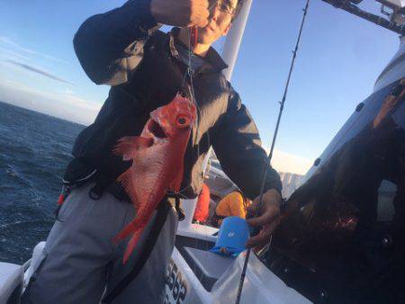 ＴＡＲＯＭＡＲＵ 釣果