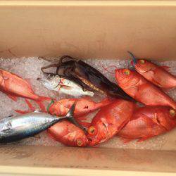 ＴＡＲＯＭＡＲＵ 釣果