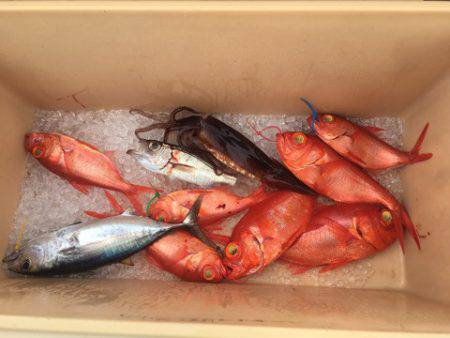 ＴＡＲＯＭＡＲＵ 釣果