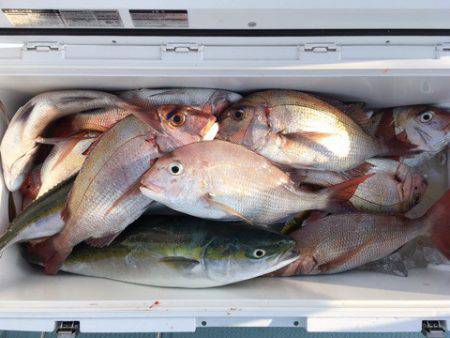 第二八坂丸 釣果