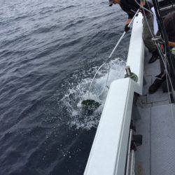 第二龍勢丸 釣果