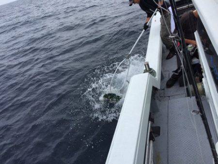 第二龍勢丸 釣果