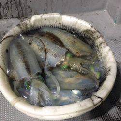 ＴＡＲＯＭＡＲＵ 釣果