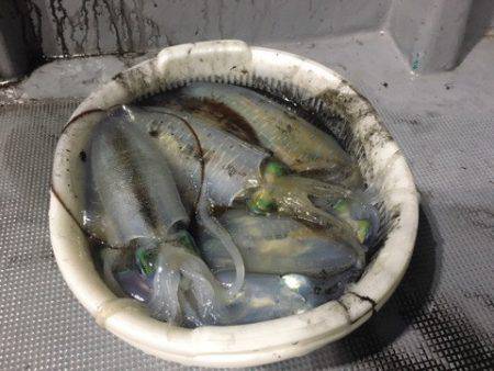 ＴＡＲＯＭＡＲＵ 釣果