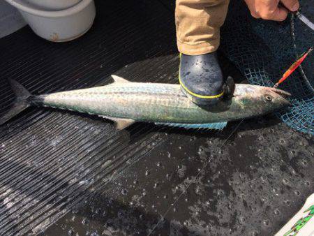 第二龍勢丸 釣果