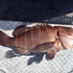 第二龍勢丸 釣果