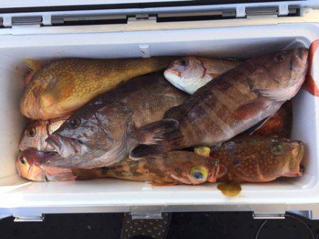 第二龍勢丸 釣果