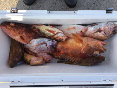 第二龍勢丸 釣果