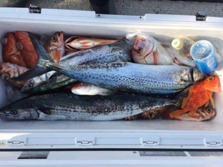 第二龍勢丸 釣果