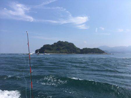 エムズジャーク（M’s JERK） 釣果