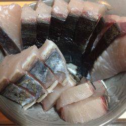 「LaGooN」蒼陽丸 日和号 釣果